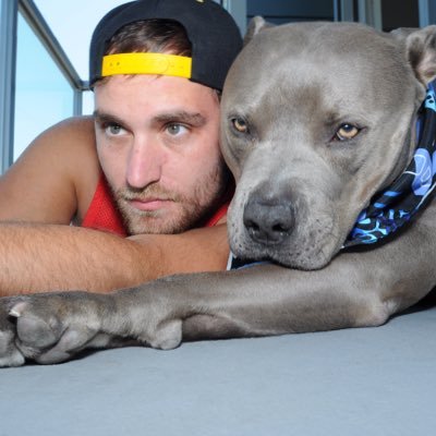 Profile Picture of Jake Reif (@JakeReif) on Twitter