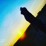 Profile Picture of Asad Jamil (@asad_jamil_17) on Instagram