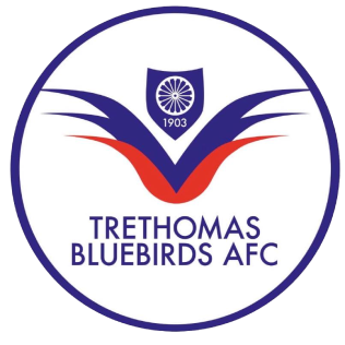 Profile Picture of Trethomas Bluebirds A.F.C.on Wikipedia