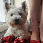 Profile Picture of Bernadette Rocks (@orbookie) on Instagram