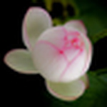 Profile Picture of Taeho Kim (@gomeekr) on Flickr