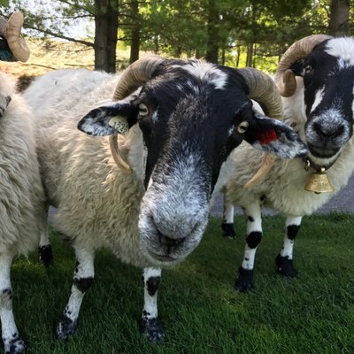 Profile Picture of Mark Rodefeld (@MarkRodefeld) on Twitter