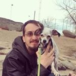 Profile Picture of Joshua Dillman (@alfreds_dad) on Instagram