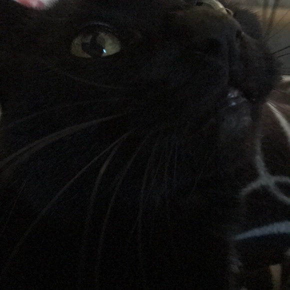 Profile Picture of Dinka Berenshteyn (@dinka81) on Poshmark