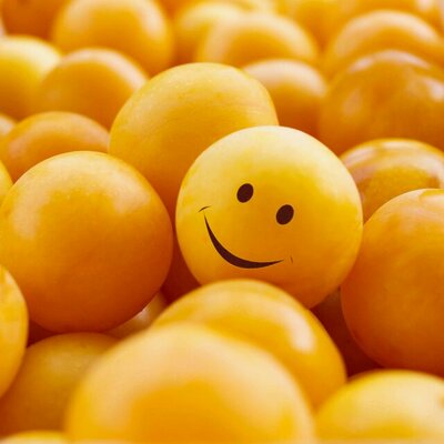 Profile Picture of Maninderjit Kaur (@Maninderjitkau6) on Twitter