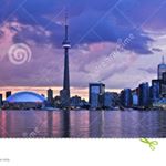 Profile Picture of stuart Travis (@stuarttravis1985) on Instagram