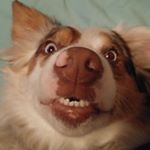 Profile Picture of Christopher Neubauer (@topherneubauer) on Instagram