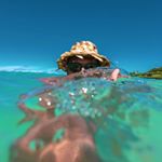 Profile Picture of Conrad Lihilihi (@clihilihi) on Instagram