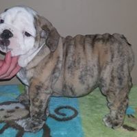 Christy Hutton- Lafary - Quora Profile Picture of Christy Hutton- Lafary (@christy-hutton-lafary) on Quora