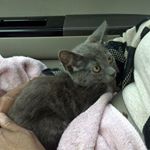 Profile Picture of Marilyn Bealle (@beallemarilyn) on Instagram