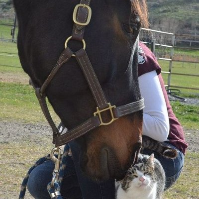 Profile Picture of Cindy Thomas (@EmeraldEmmie1) on Twitter