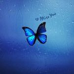 Profile Picture of Amber Vink (@ambertjuuuuuh2004) on Instagram