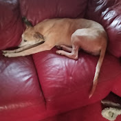 Profile Picture of Tyler Curran (@TylerCurran-zt6ep) on Youtube