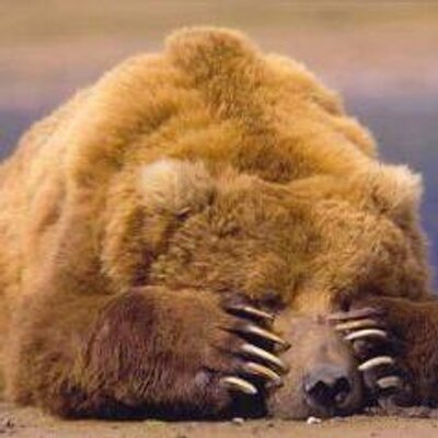 Profile Picture of Dominic Hogan (@Dominic_Hogan) on Twitter