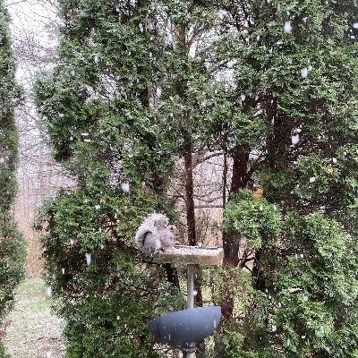 Jeffrey Andrus - Twitter Profile Picture of Jeffrey Andrus (@jbacuse) on Twitter