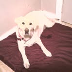 Profile Picture of Pamela Upright (@pamela.upright) on Facebook