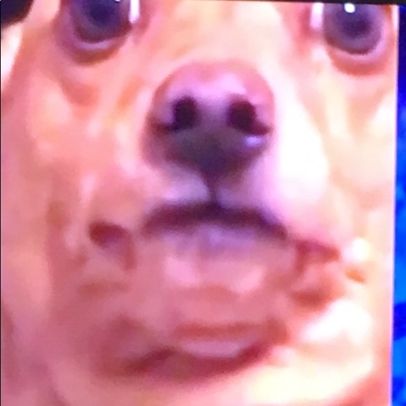 Profile Picture of Hannah Schultz (@hannahliz844) on Poshmark