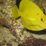 Profile Picture of Tommy Tange (@tommy.tange.5) on Facebook