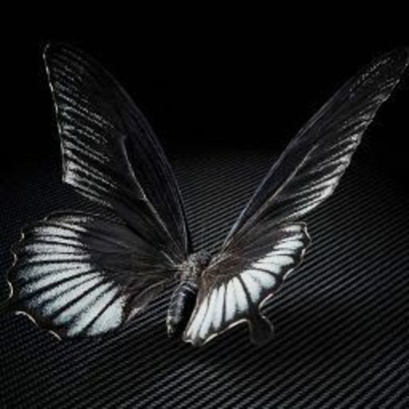 Profile Picture of Aaron Eden (@aaroneden499) on Poshmark