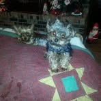 Profile Picture of Gary Reneker (@Gary-Reneker) on Facebook