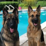 Profile Picture of Brian Kramer (@brian_kramer23) on Instagram