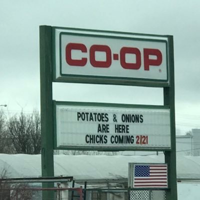 Profile Picture of Michael Guess (@Michael67797550) on Twitter