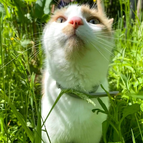 Profile Picture of Jane Gugerty (@janegugerty) on Poshmark