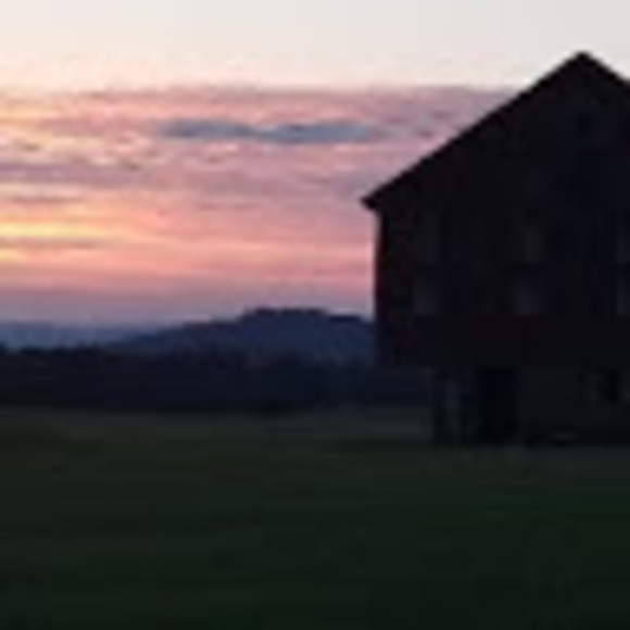 Profile Picture of Shelli Strausner (@sstrausner) on Poshmark