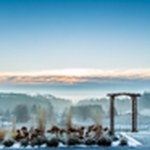 Profile Picture of Tyler Haynes (@preferredperspectivephotograph) on Instagram