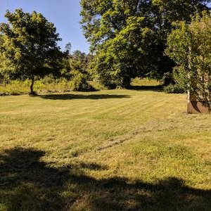 Profile Picture of Nadine Wilkinson (@NadineW53150177) on Twitter