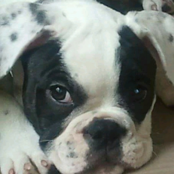 Profile Picture of Daniel Quant (@ripclaw) on Poshmark