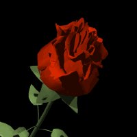 Profile Picture of Rose Silva (@rosecs34_) on Twitter