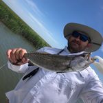 Profile Picture of Jeffery Connell (@lilgizard1015) on Instagram