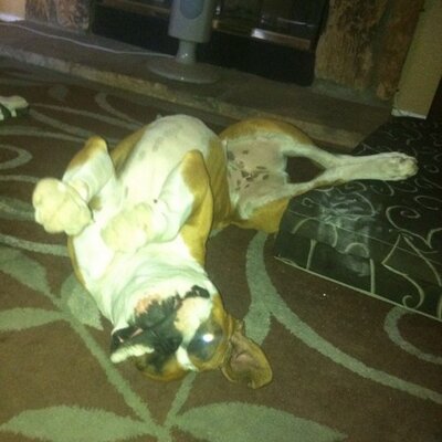 Profile Picture of Eric Adkisson (@Eroc011) on Twitter