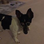 Profile Picture of Thomas Howlett (@howlett.thomas) on Instagram