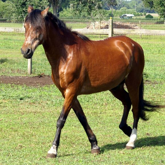 Profile Picture of Jesse Evensen (@jesseevensen) on Poshmark