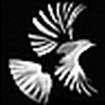 Profile Picture of Sebastian Hansen (@orillion) on Flickr