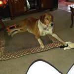 Roger osborn - Instagram Profile Picture of Roger osborn (@osborn.roger) on Instagram