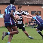 Profile Picture of Alexander Harding (@alexander_harding_) on Instagram