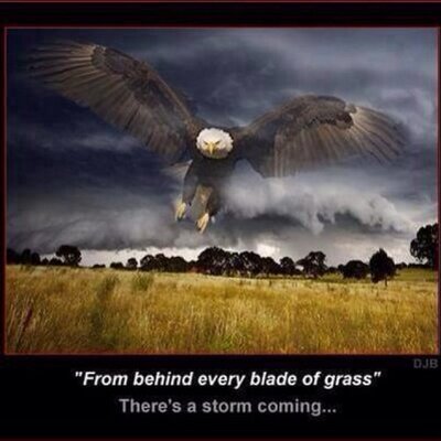 Profile Picture of Larry Skinner (@skinner1larry) on Twitter