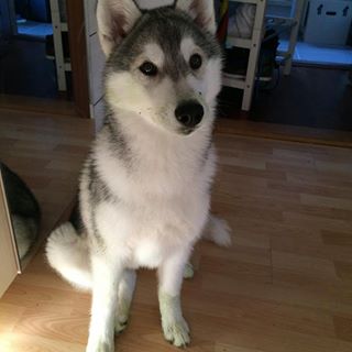 Profile Picture of John Rathje (@john.rathje.7) on Facebook