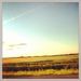 Profile Picture of Joanna Halyk (@j0anna1) on Pinterest