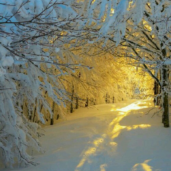 Profile Picture of Raven Homes (@raven551) on Poshmark