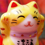 Profile Picture of Dragon Dream 888 (@dragon dream 888) on Flickr