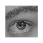 Profile Picture of Alice Houghton (@alice.houghton) on Instagram