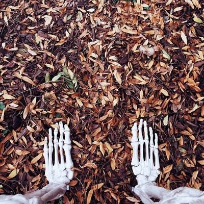 Profile Picture of Bob (@snob_karlik) on Twitter