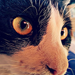 Profile Picture of Alex Carbonell (@alexcar610) on Flickr