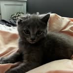 Profile Picture of Hayden Kline (@Hayden-Kline) on Facebook