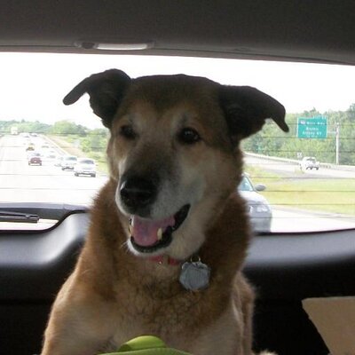 Profile Picture of Kim Hollie (@@gr8carn4u) on Twitter