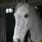 Profile Picture of Amanda Coleman (@amandacomms) on Instagram